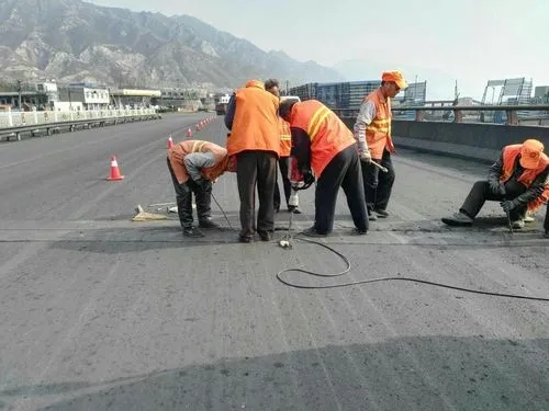 呼兰道路桥梁病害治理